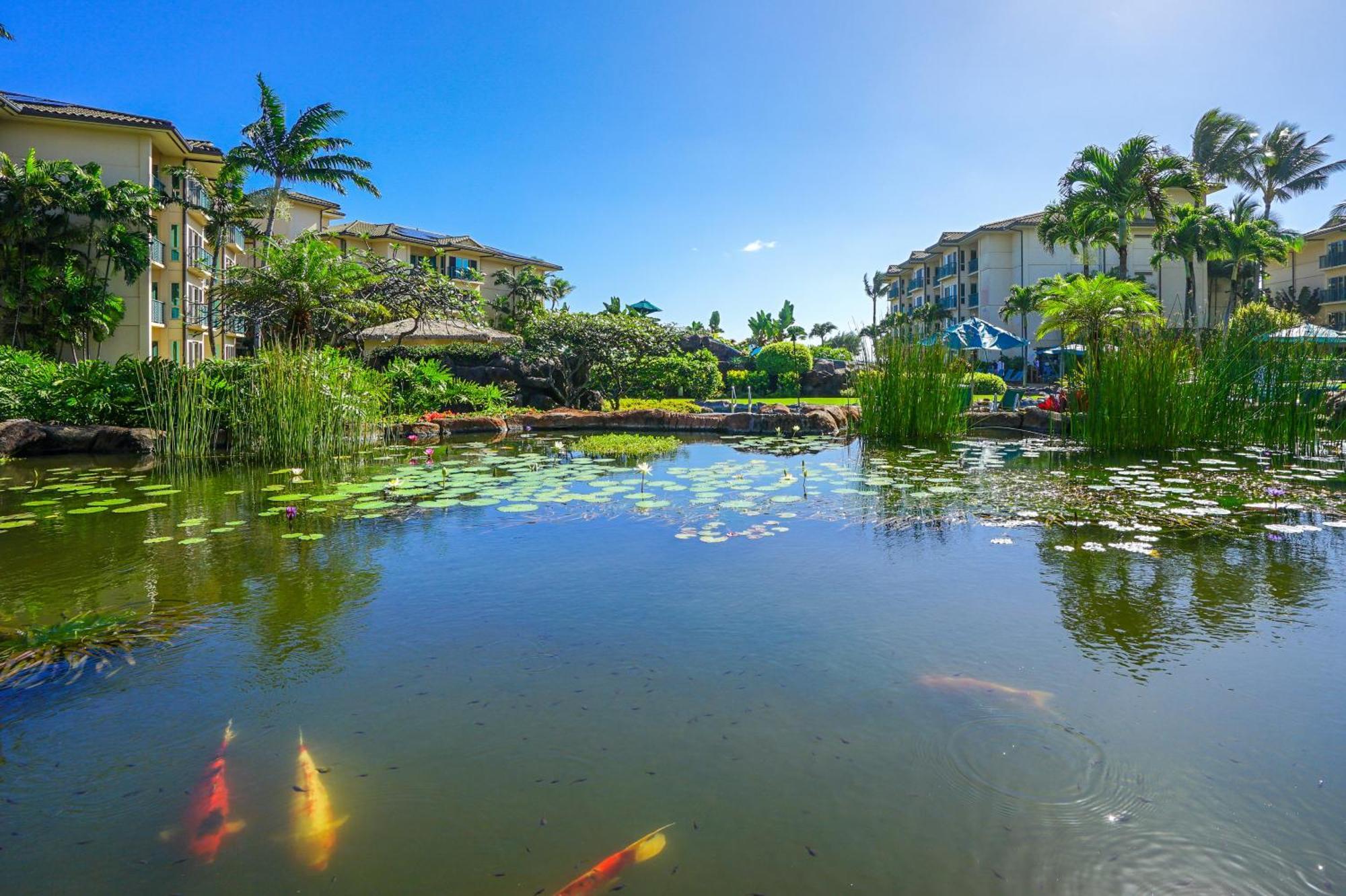 Waipouli Beach Resort 卡帕阿 客房 照片